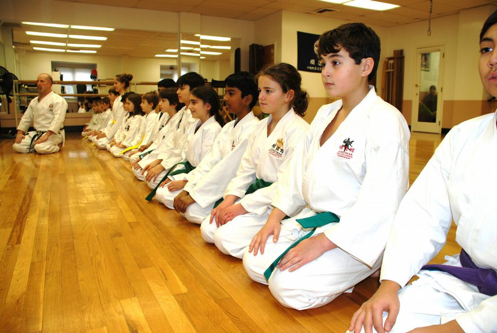 Pictures for Goju Ryu School of KarateChappaqua NY in Chappaqua, NY 10514